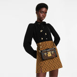 Louis Vuitton Petit Malle