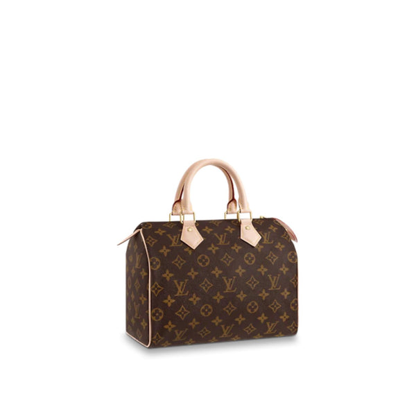 Louis Vuitton Speedy 25 Women's Bag