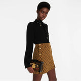 Louis Vuitton Petit Malle